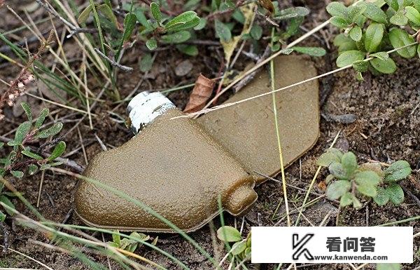 美越战争全过程？