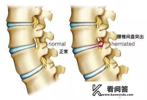 哆啦a梦牧场物语神奇膏药怎么获得？