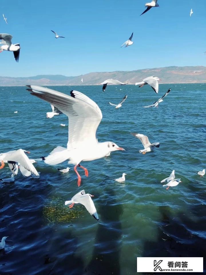 南方冬季的十大魅力旅行地