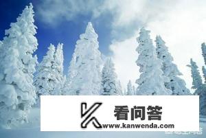 旅游可分为哪些类型？