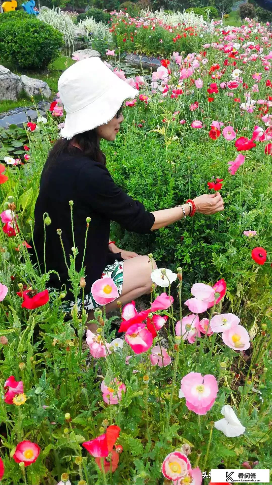 出门旅游一直拍照，是不是失去了旅行本身的意义？