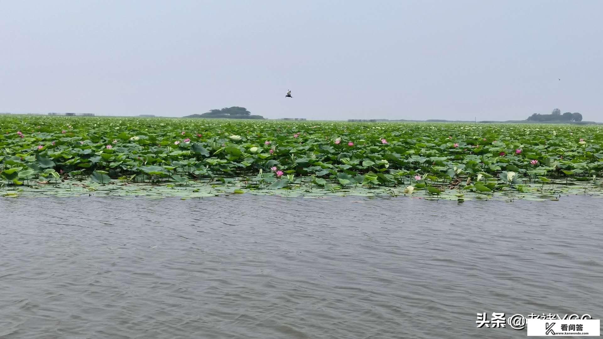 男女朋友同居前为什么要先去旅游？