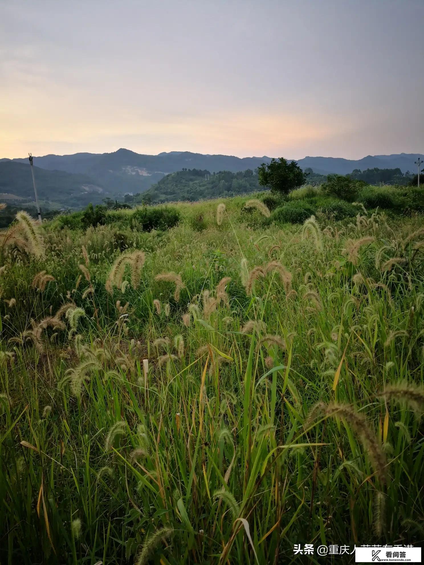 全国20个主要红色旅游城市有哪些？