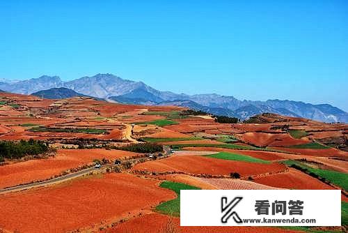 春节广州出发云南自驾游，想去罗平，抚仙湖、红土地，元阳梯田，大概10天时间？