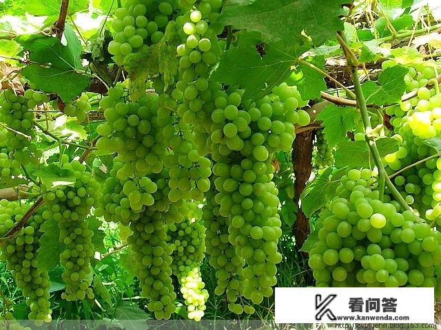 请问开着房车出去旅游一年需要多少钱？