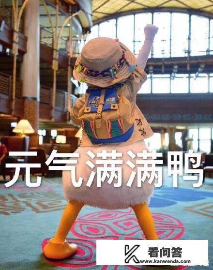 程序员写游戏的叫啥？