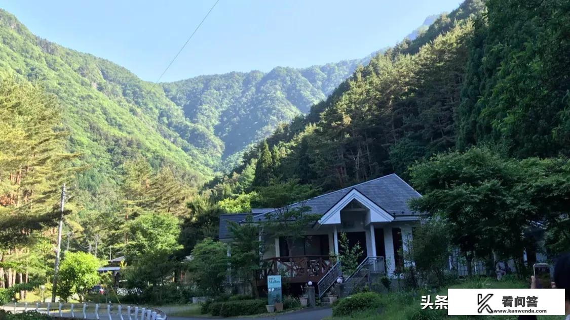 在日本黑过被送回来6年了可以通过旅行社去日本旅游吗？