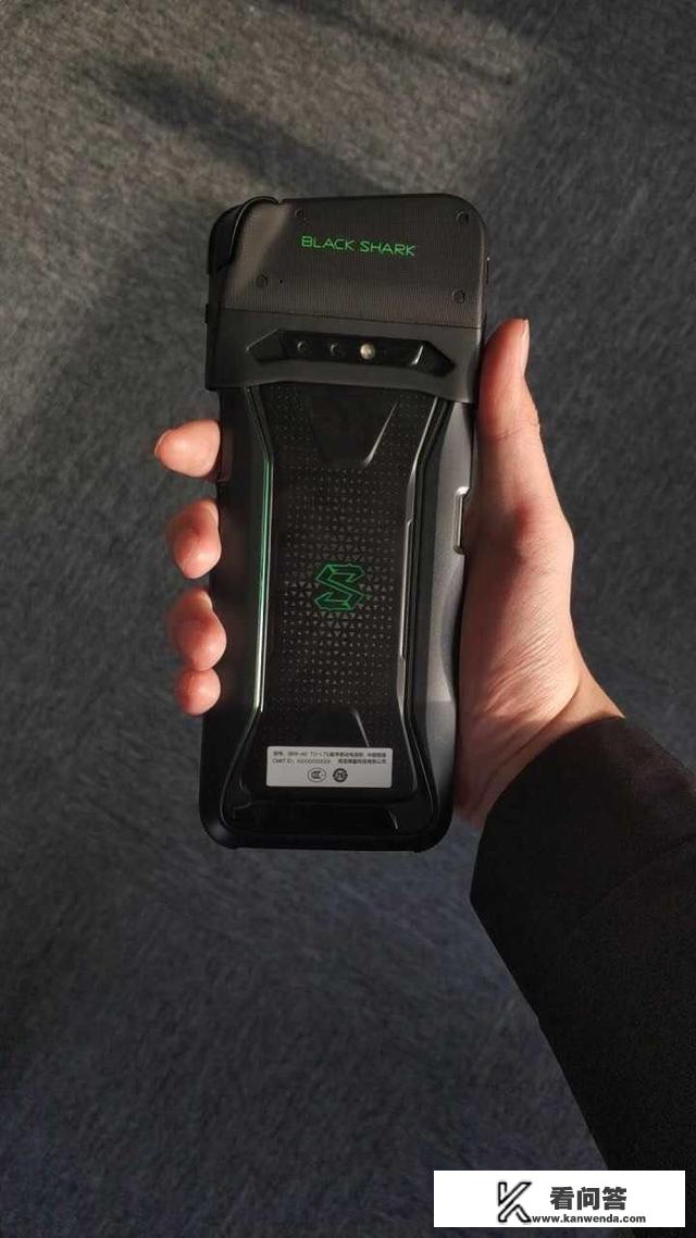 如何分辨黑鲨真假？