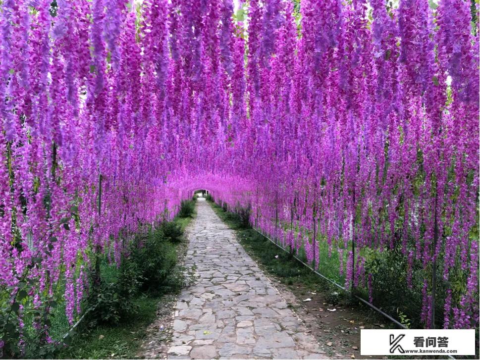 旅游攻略一般是男生还是女生做？