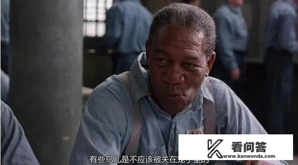 心理健康电影主题名？