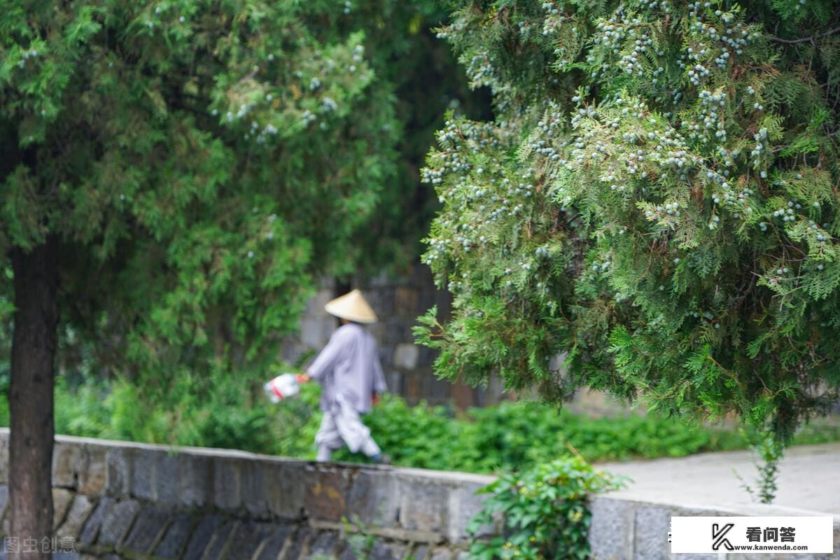 栾川不爬山的旅游攻略？