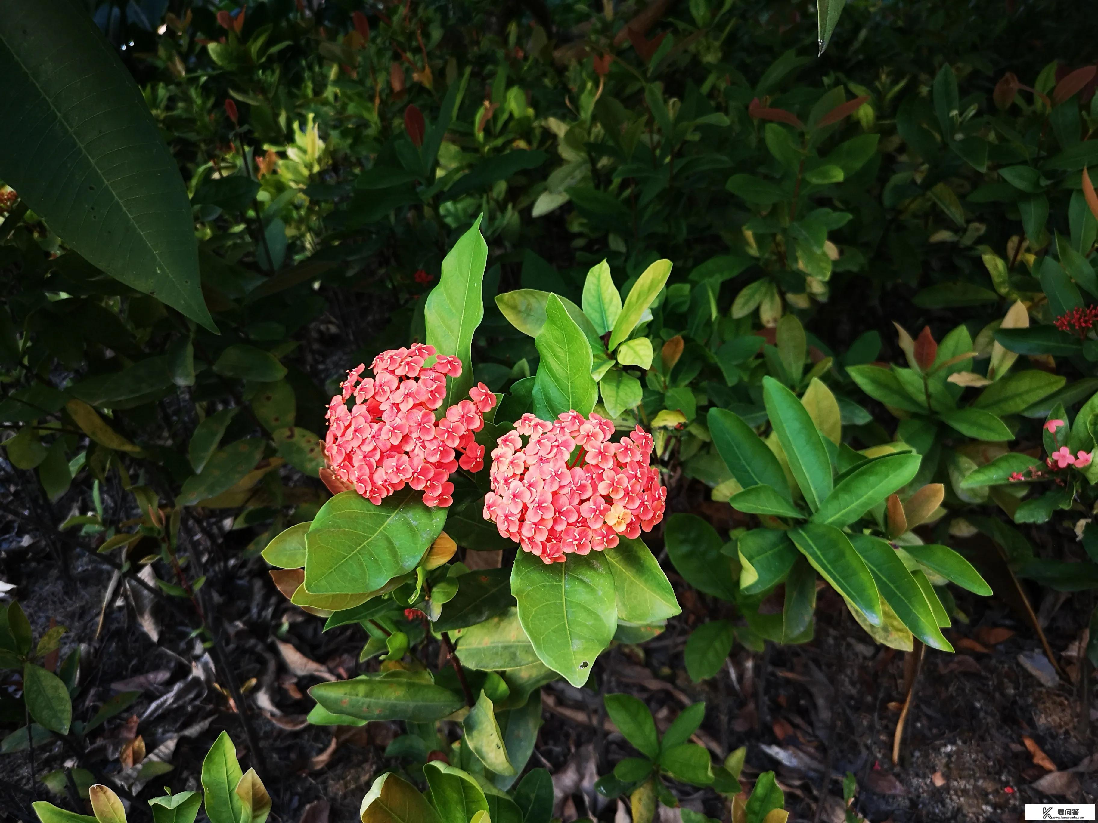 为什么现代医学很发达了，却还是很难彻底消灭病毒体？