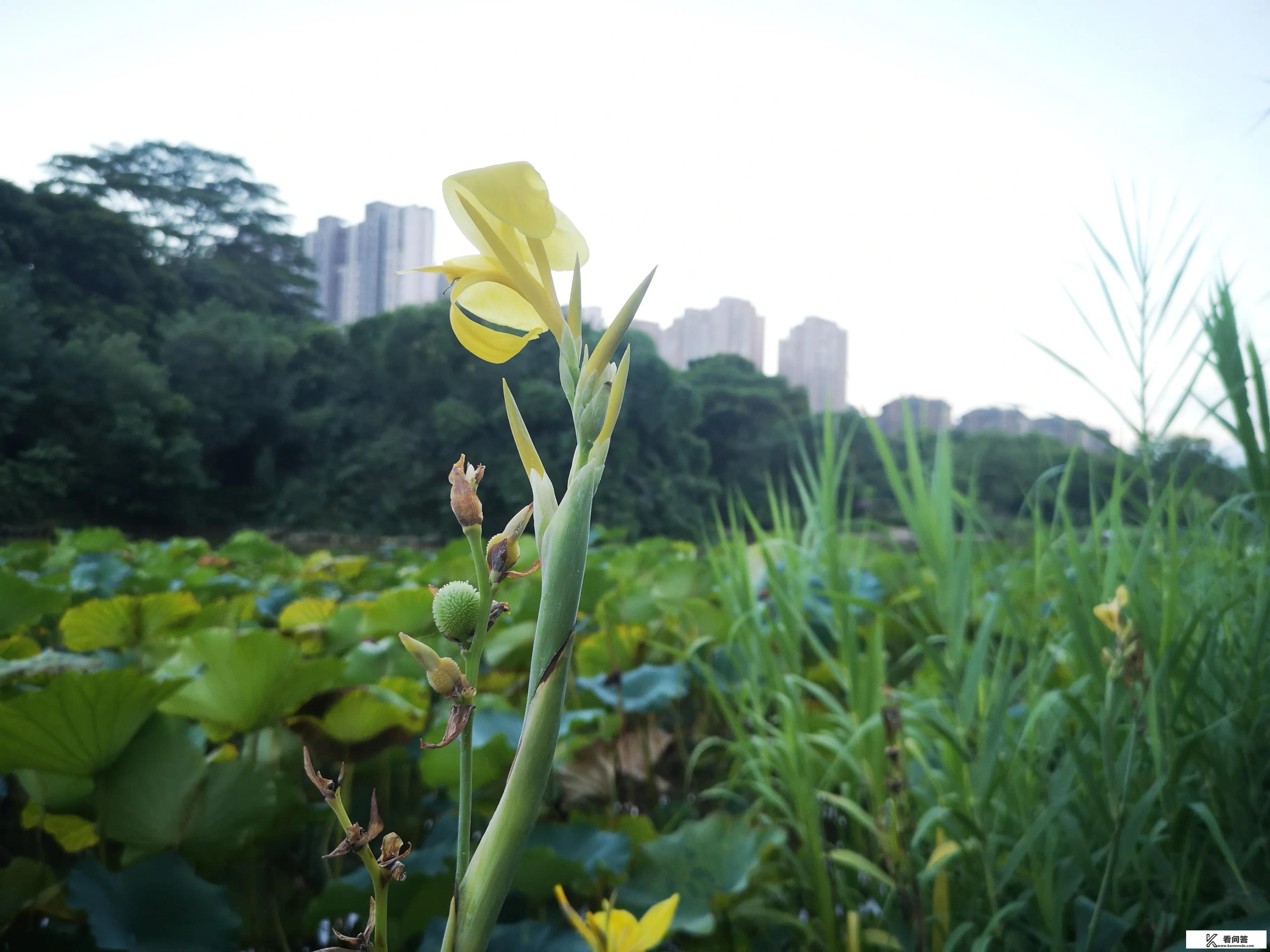 为什么现代医学很发达了，却还是很难彻底消灭病毒体？