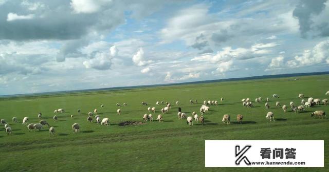 害怕旅游怎么办？