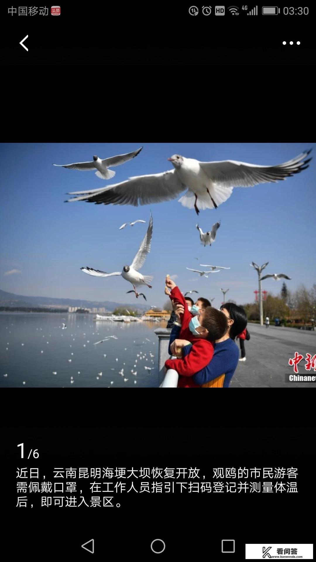 我害怕旅游怎么办？