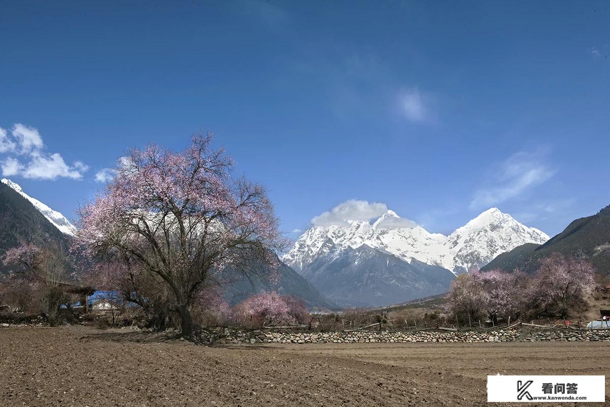 李伟一家去野外旅游,进入山谷后,他大喊了一声后,过了7秒听到回音，你能算出他距离对面谷壁大约多少米吗？