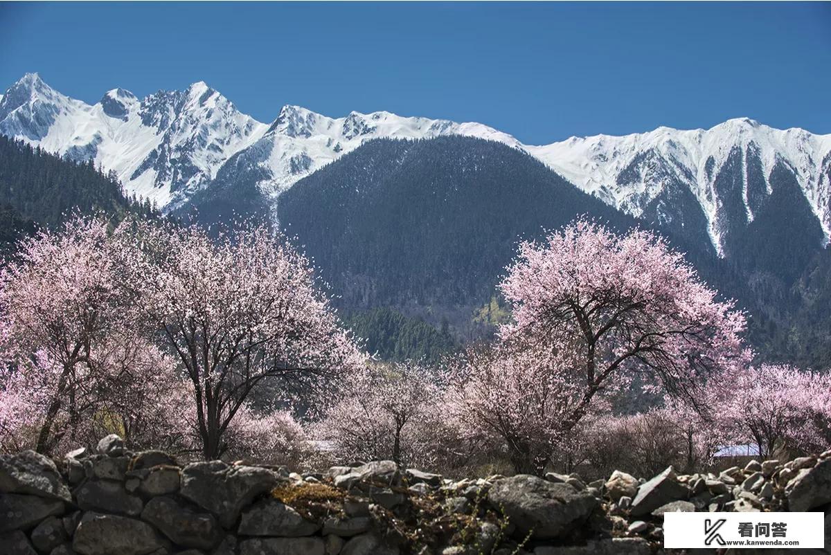 李伟一家去野外旅游,进入山谷后,他大喊了一声后,过了7秒听到回音，你能算出他距离对面谷壁大约多少米吗？