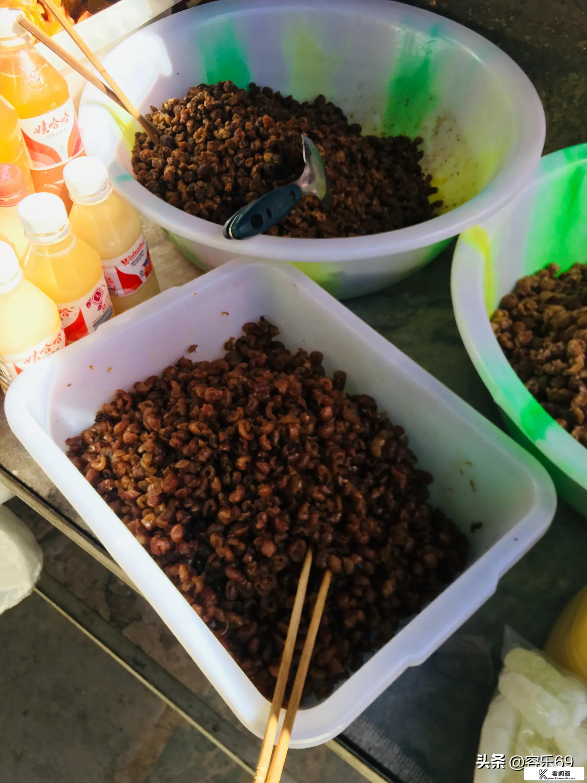 旅游规划名词解释？