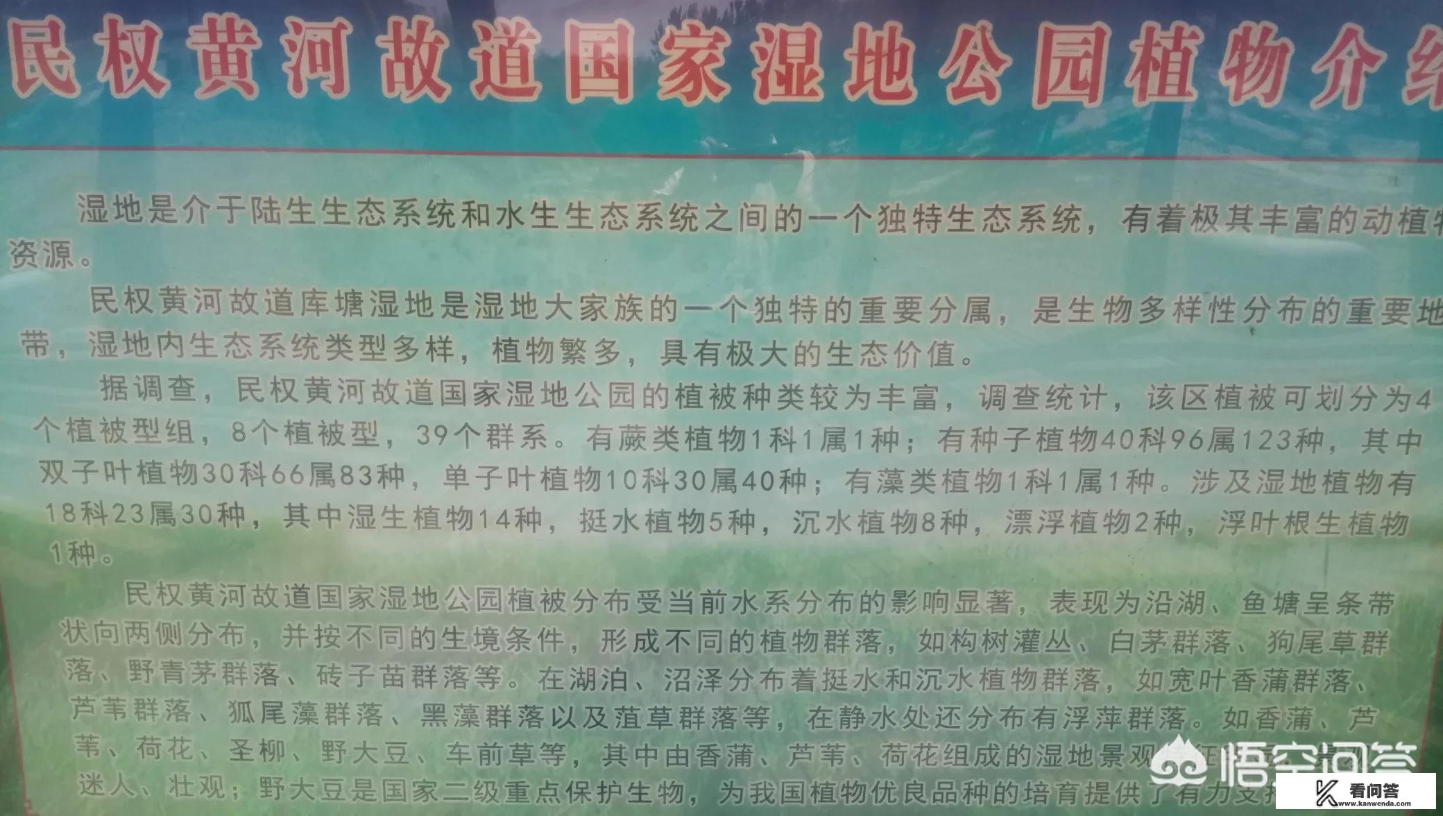 河南一日游去哪里好玩？