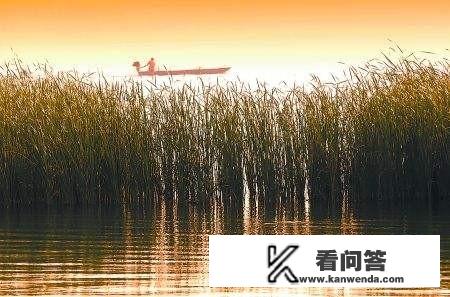 河南一日游去哪里好玩？