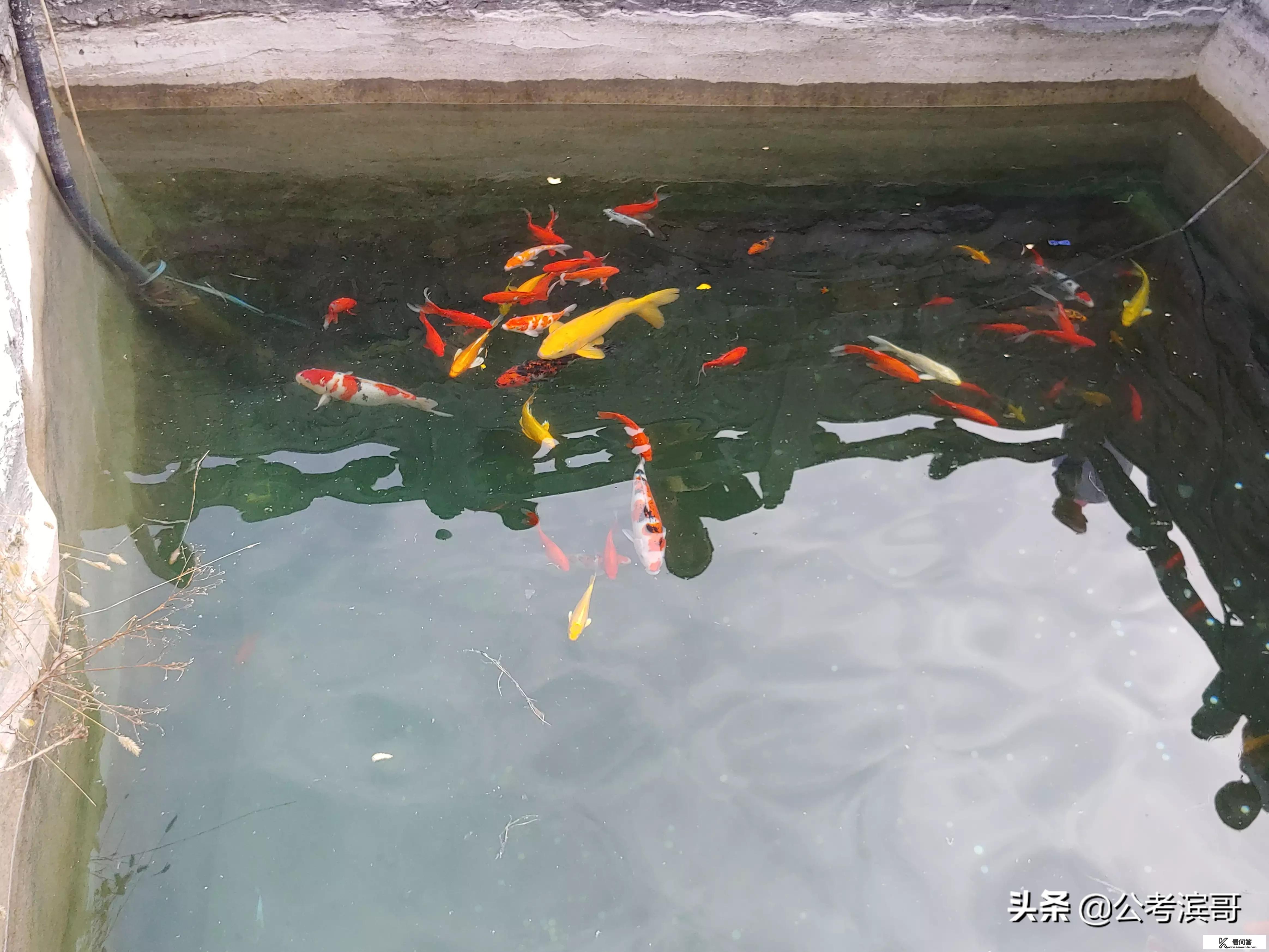 旅游属什么行业? 旅游属什么行业?