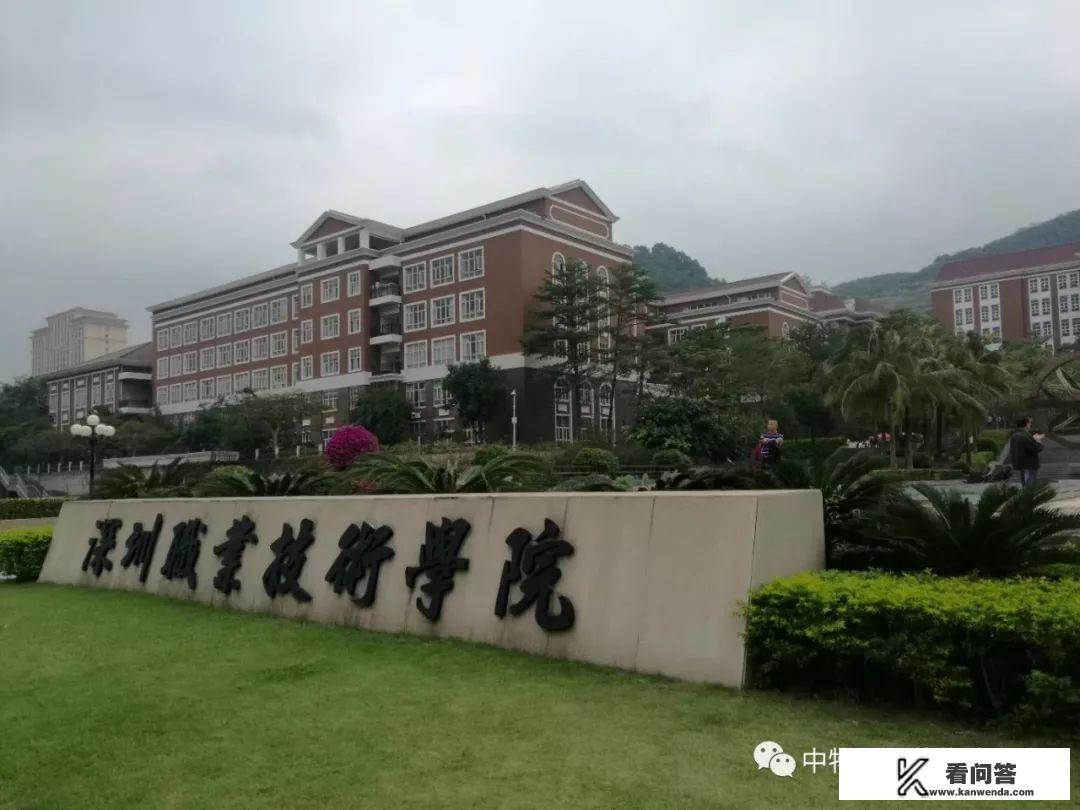 高职高考主要考什么内容？