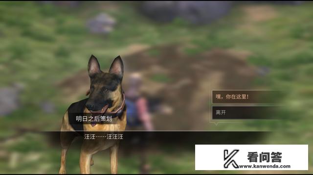 在你眼里，《明日之后》究竟是一款什么类型的游戏？