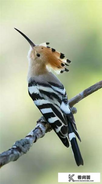 找几部小说：要求是寻宝或者冒险找藏宝图的小说。有异能，主角NB的更好？