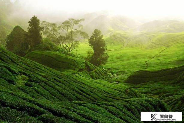 从美国买来的电影，没有中文字幕，看不懂怎么办？