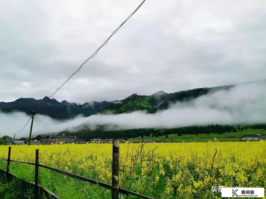 同程旅游怎么发布长途顺风车？