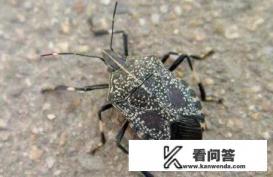 要想写一本小说,应该都有什么准备? 要想写一本小说,应该都有什么准备?