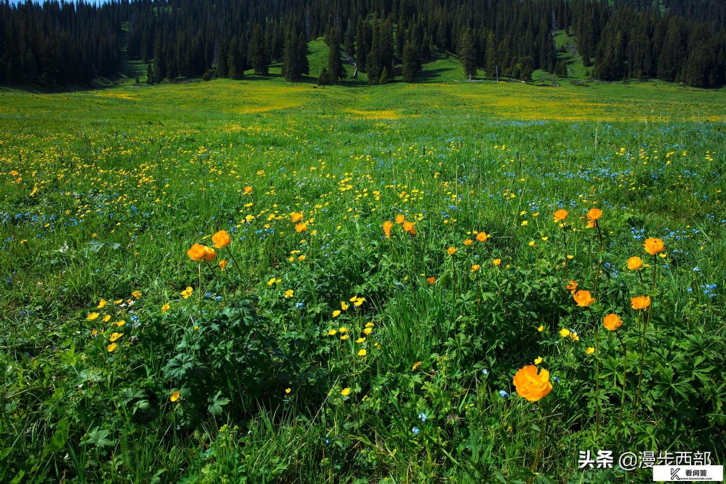 6月份去哈尔滨旅游攻略路线推荐？