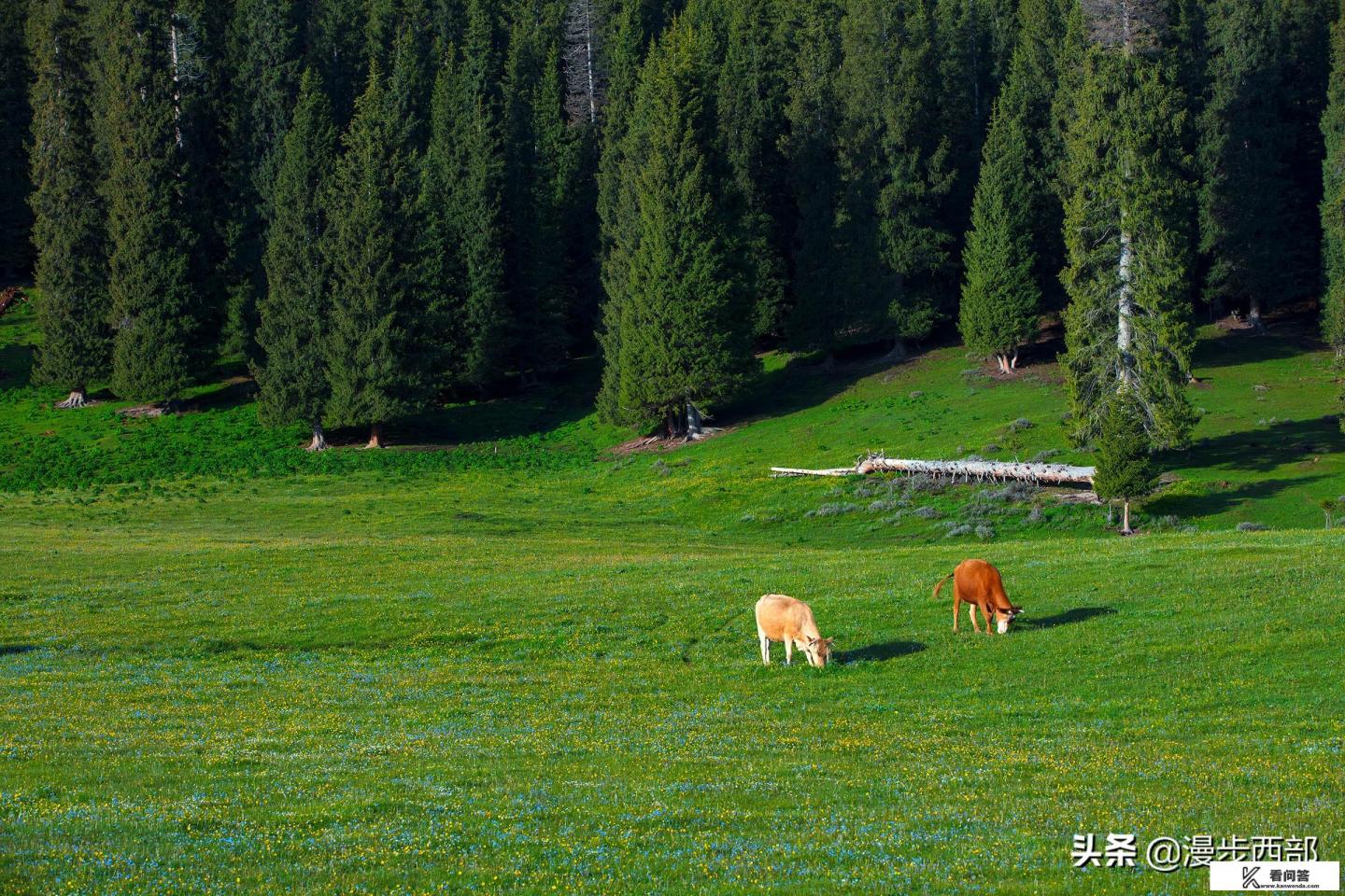 6月份去哈尔滨旅游攻略路线推荐？