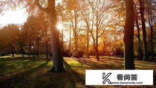 旅游景点主题有哪些？