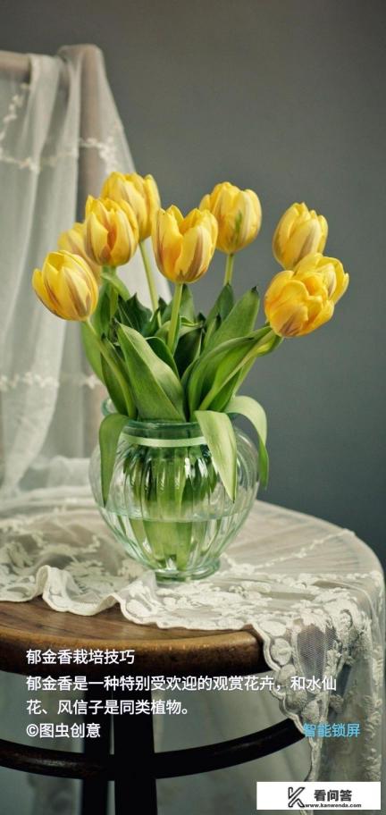 2023高考体检标准细则？