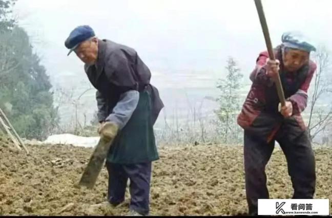 2023年高龄津贴标准出炉,70岁和80岁的老人,分别能够领取多少? 2023年高龄津贴标准出炉,70岁和80岁的老人,分别能够领取多少?