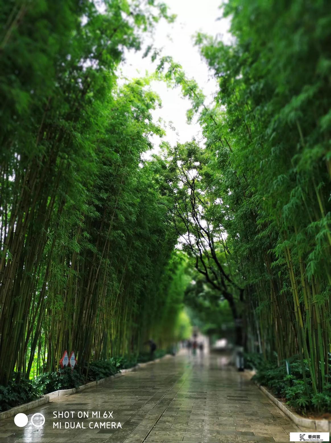 黑龙江省的旅游资源主要包括？