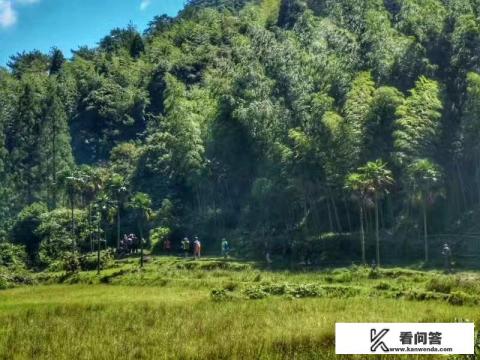 公司夏季旅游领导致辞简短？