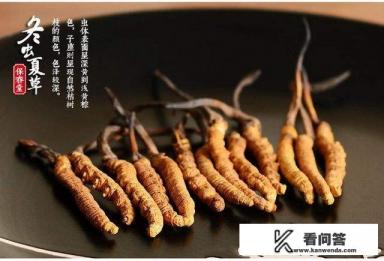 冬虫夏草为什么叫冬虫夏草？