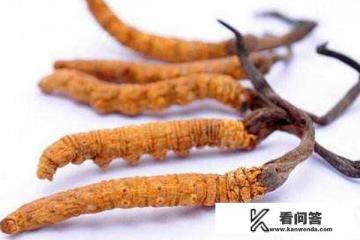 冬虫夏草为什么叫冬虫夏草？