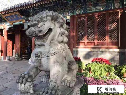 保研的学生怎样报考学校？