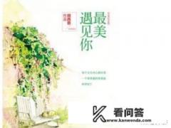 晋江有名的言情作者？