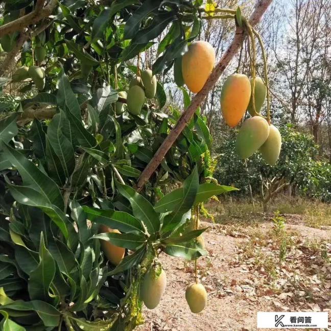 请问在农村做农产品电商要注意什么，如何寄快递呢？