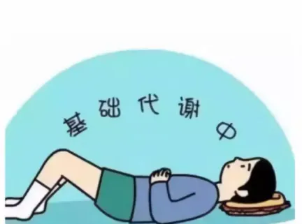 人一天的基础代谢是多少？