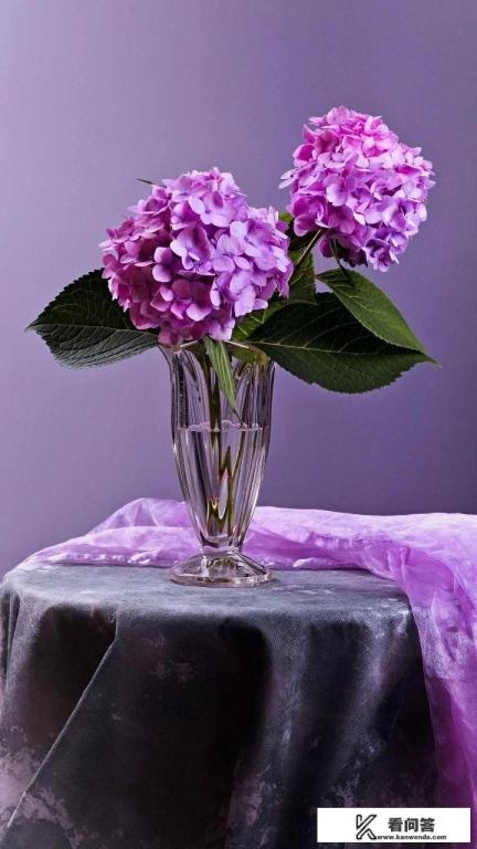 2018年尤文图斯年会拿到欧冠冠军吗？