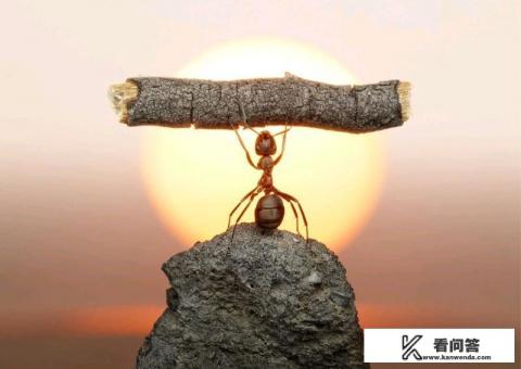 表达思维固化的古诗？