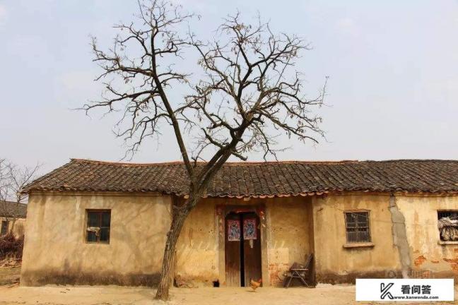 农村的房子住的人越老越少，为什么很多人还要拼命盖房子？