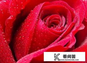 古时候，时传瘟疫，都喜欢用焚烧艾叶进行杀菌，驱邪。你看甄嬛传时发现了吗？