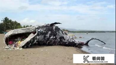 400年前的木乃伊韩剧剧情分解？