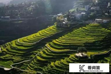 铜仁市基本情况？